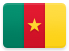 Cameroon flag