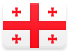 Georgia flag