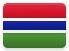 Gambia flag