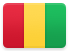 Guinea flag