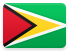 Guyana flag
