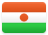 Niger flag