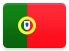 Portugal flag